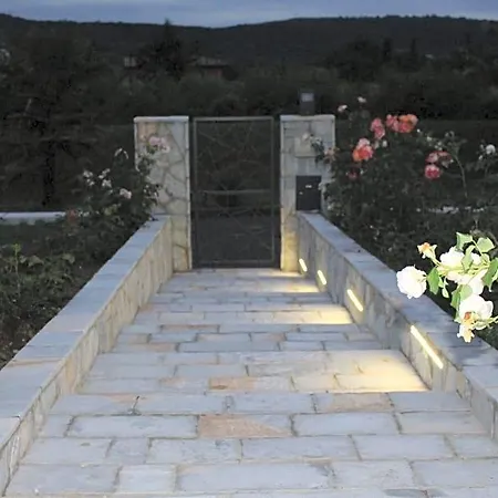 Fili D'erba