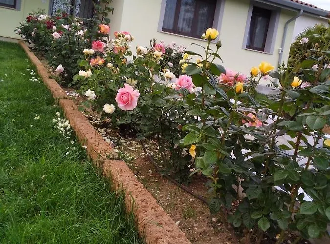 Fili D'erba Farra d'lsonzo